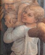 Fra Filippo Lippi Details of  Madonna and Child with Two Angels Spain oil painting artist